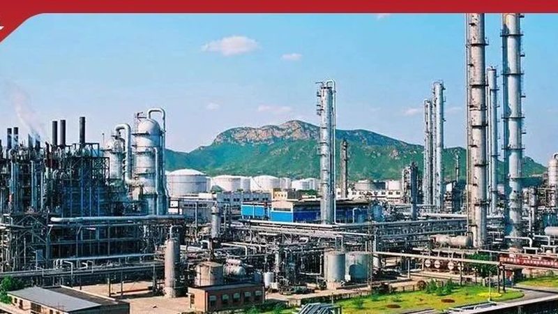 上海新材料有限公司