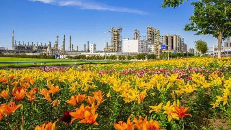 非离子表面活性剂：揭秘其规格参数与性能解析